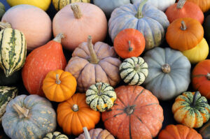 Cordenons sagra zucca